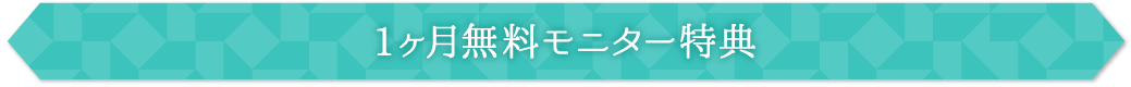 1ヶ月無料モニター特典