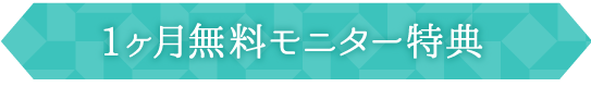 1ヶ月無料モニター特典